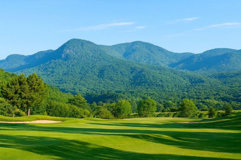 Landscape Grading Service