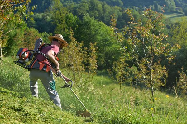 Cost of Slope Trimming in Ballwin